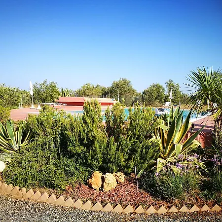 Eleven * Castiglioncello