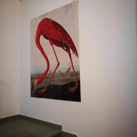 Eleven Apartment Castiglioncello